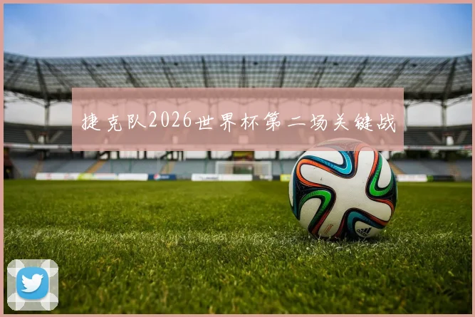 捷克队2026世界杯第二场关键战