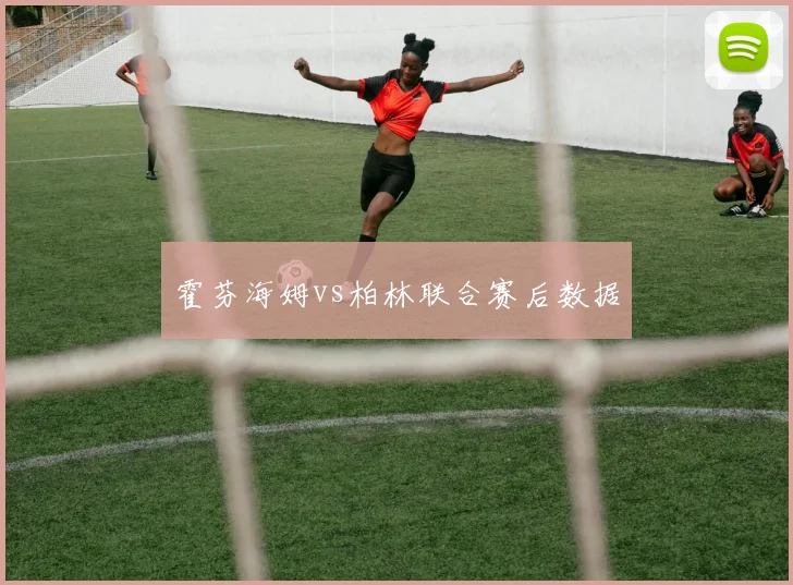霍芬海姆vs柏林联合赛后数据