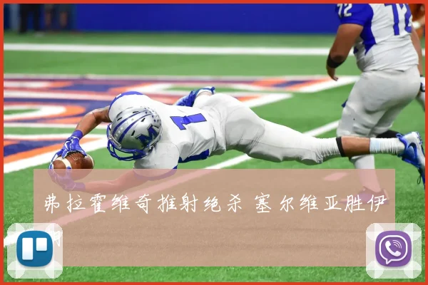 弗拉霍维奇推射绝杀 塞尔维亚胜伊朗