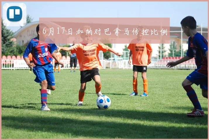 6月17日加纳对巴拿马传控比例