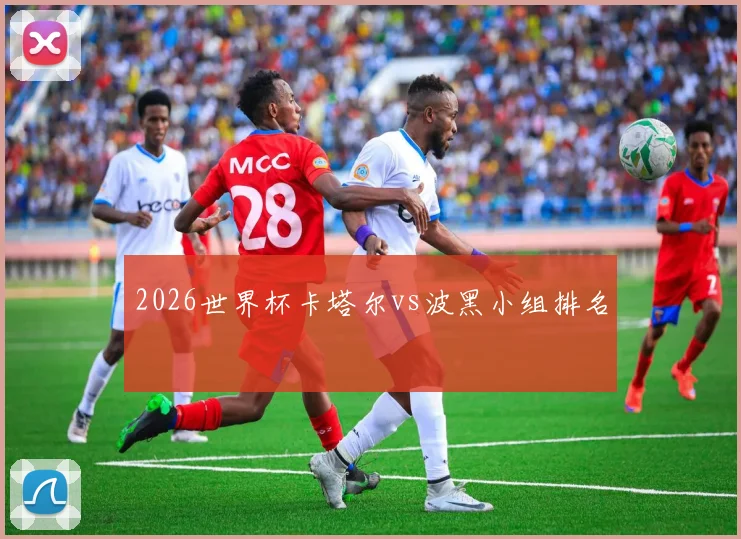 2026世界杯卡塔尔vs波黑小组排名