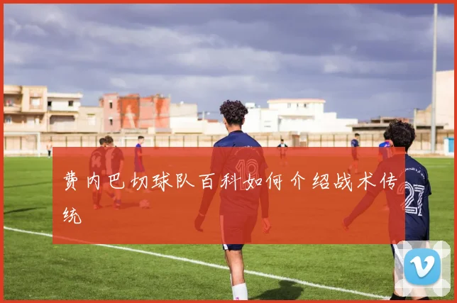 费内巴切球队百科如何介绍战术传统