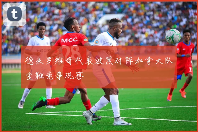 德米罗维奇代表波黑对阵加拿大队金靴竞争观察