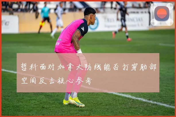 哲科面对加拿大防线能否打穿肋部空间反击核心参考