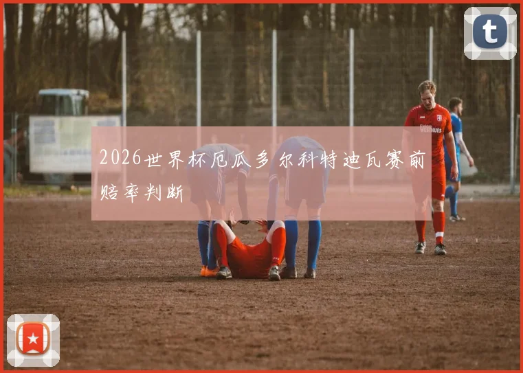 2026世界杯厄瓜多尔科特迪瓦赛前赔率判断
